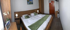 MartjanciRestavracija in prenočišča ČARDA的一间卧室配有一张带绿毯的床