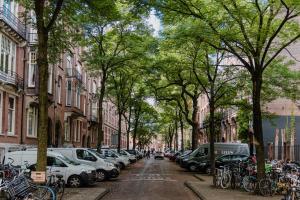 阿姆斯特丹菲塔酒店的一条有停车车和树木的城市街道