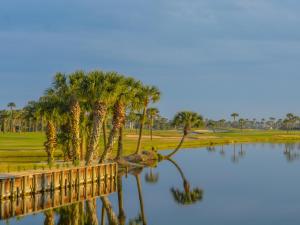 庞特韦德拉Ponte Vedra Players Club Villa 17, Players Club Pool, 3 Bedrooms, Sleeps 6的棕榈树在水中的反射