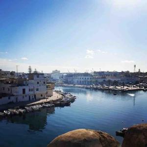比塞大Dar Sandra Bizerte的享有海港和水中船只的景色