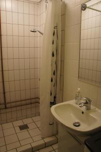 埃斯比约(id110) Grønlandsparken 56. G的浴室配有水槽和带浴帘的淋浴