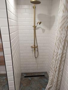 陶波尔曹Classic Deluxe Tapolca的浴室内带浴帘的淋浴间