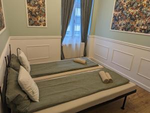 陶波尔曹Classic Deluxe Tapolca的两张床位于带窗户的房间内