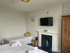 韦德布里奇Trevanger Farm Bed and Breakfast的客房设有两张床、一个壁炉和一台平面电视。