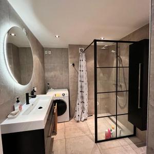 皮尔默伦德Lovely and spacious apartment in Purmerend的一间带水槽和淋浴的浴室