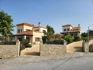 SkouloúfiaAgnanti Marina villa with private pool的车道前有石墙的房子