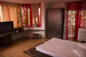雅西格兰德别墅酒店的一间卧室设有一张床、一台电视和窗户。