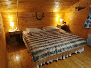 拉布雷斯The dream catcher -Spa- panoramic sauna- 2 MINUTES FROM THE SLOPES的一间卧室配有一张床,两台桌子上放着两盏灯