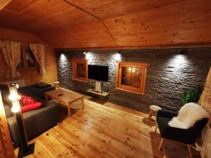 拉布雷斯The dream catcher -Spa- panoramic sauna- 2 MINUTES FROM THE SLOPES的带沙发和电视的客厅