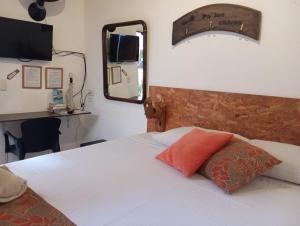 圣希尔SANTANDER ALEMAN HOSTEL的卧室配有白色的床和镜子