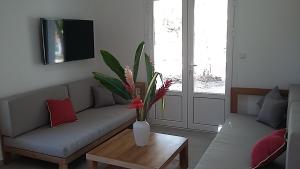 圣弗朗索瓦Chambres d'hôtes et villas chez Flo的客厅配有沙发和带花瓶的桌子