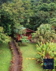比加瓜Cataratas Bijagua Lodge, incluye tour autoguiado Bijagua Waterfalls Hike的森林中的房子