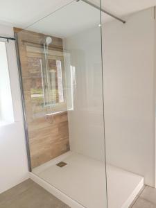 Saint-HostienLe gîte d'Ouillon的浴室里设有玻璃门淋浴