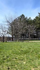 KirazlıCHALET VERDE的绿草丛生的草地,树木和栅栏