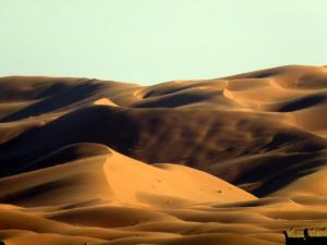 梅尔祖卡La Vallée des Dunes - Auberge, bivouacs et excursions的沙漠中沙丘的图像