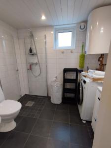 博尔斯塔Bålsta Studio Houses的一间带卫生间和淋浴的小浴室
