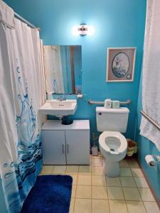 马布尔黑德Lake Point Motel的蓝色的浴室设有卫生间和水槽
