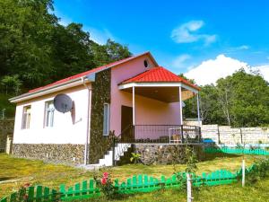 卡希Guliyev Home的一间红色屋顶的粉红色小房子