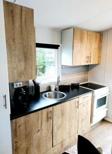 莱克内斯Microhouse Leknes in Lofoten的厨房配有木制橱柜、水槽和窗户。