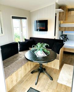 莱克内斯Microhouse Leknes in Lofoten的客厅配有沙发和桌子