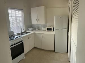 Cedar GroveLarge Modern Space的厨房配有白色橱柜和白色冰箱。