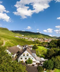 OckfenWeinhotel Restaurant Klostermühle的山间村庄的空中景观
