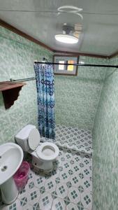 博卡斯德尔托罗Bastimentos Hill Guest House的一间带卫生间和水槽的浴室