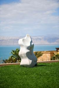索瓦马伊什塔尔死海凯宾斯基酒店的白雕,坐在草场上