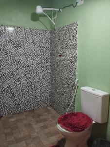 穆隆古Colina dos Ventos的绿色墙壁上带卫生间的浴室