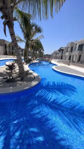 塞拉莱Abu sjood的一座蓝色的游泳池,拥有棕榈树和建筑