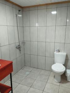 埃尔索韦维奥Alojamiento Matheo的一间带卫生间和淋浴的浴室
