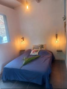 勒迪亚芒Tropi Kay' Location - Bungalow avec jacuzzi的一间卧室配有一张带蓝色床单和灯光的床。