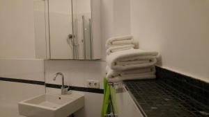 美因河畔霍海姆海姆缅因公寓的一间带水槽和台面毛巾的浴室