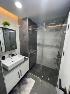 阿克拉Kass Towers, Studio Apartment的一间带玻璃淋浴和水槽的浴室