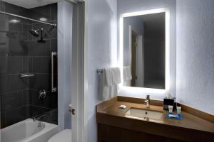 斯特灵斯特灵/杜勒斯机场北凯悦酒店的一间带水槽、浴缸和镜子的浴室
