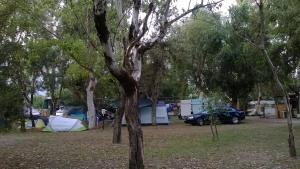 拉默齐亚泰尔默Camping Ulisse Calabria的一群帐篷和停在公园里的一辆汽车