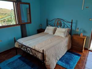 阿利若Vivenda Casa da Fraga的一间卧室配有一张蓝色墙壁的床和一扇窗户