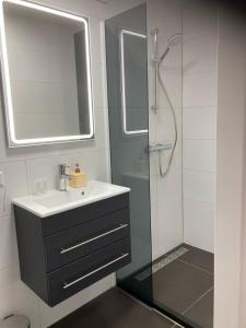 巴勒哈姆斯泰德Duinstrand Burgh-Haamstede的浴室配有盥洗盆和带镜子的淋浴