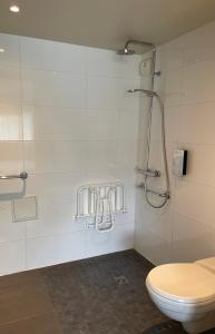 圣维克托蒙吕松〜圣 - 维克多钟楼酒店的一间带卫生间和淋浴的浴室