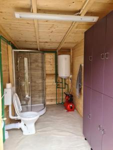 克卢日-纳波卡Moara de Pădure的一间带卫生间和淋浴的小浴室
