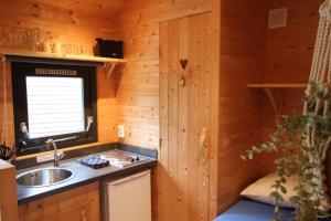 巴勒纳绍Wood Cabin 4 personen的小屋内的厨房设有水槽和窗户
