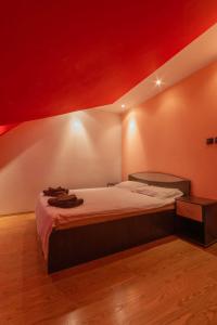 加拉茨Vila Mario的一间卧室设有一张红色天花板的床