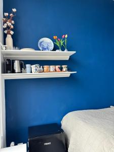 阿姆斯特丹Lovely small apartment in 'De Pijp'的一间卧室设有蓝墙、书架和一张床