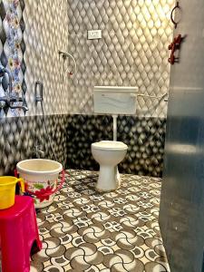 丹德利Dandeli Kali River Stay的一间带卫生间和浴缸的浴室