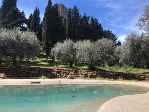 蒙泰卡蒂尼瓦尔迪切奇纳Torre dei Belforti的一座种植了树木和石墙的游泳池