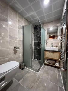 阿马西亚Albayrak Konağı Otel的带淋浴、卫生间和盥洗盆的浴室