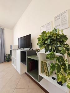 比森齐奥营Midori House Florence的办公室设有书桌、电视和植物