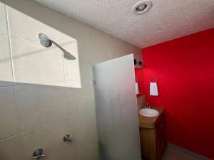 瓦哈卡市Oaxaca departamento azul的带淋浴、水槽和红色墙壁的浴室