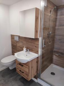 MieroszówForrest Glamp的一间带水槽、淋浴和卫生间的浴室