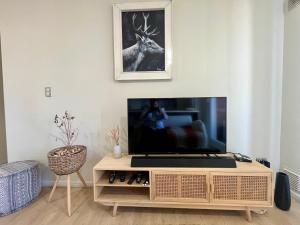 AngolDepartamento en Angol.的客厅配有台面上的平面电视
